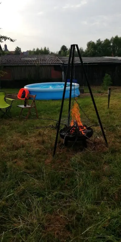Boll