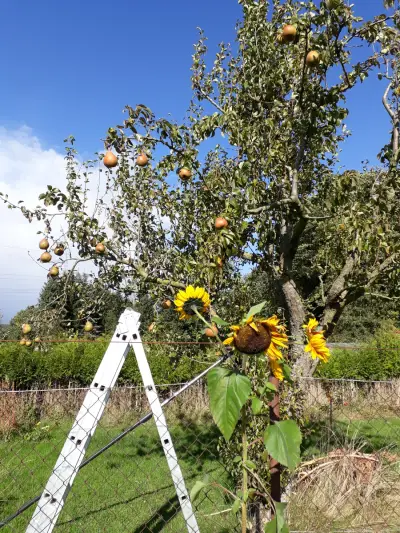 Deisterpforte in Echtzeit