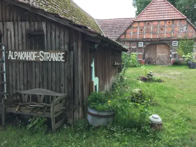 Alpakahof-Strange im DümmerWeserLand