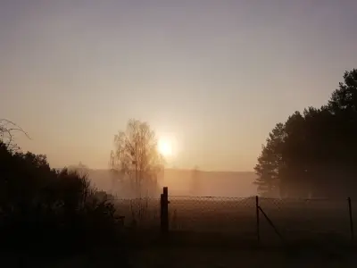 Der Wald vor der Tür