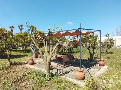 Kleine Quinta braucht Hilfe