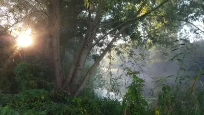 Haus am Fluss sucht Katzensitter