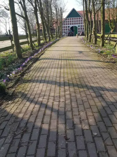 Resthof in der Wingst