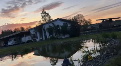 Pferdehof in Ostfriesland