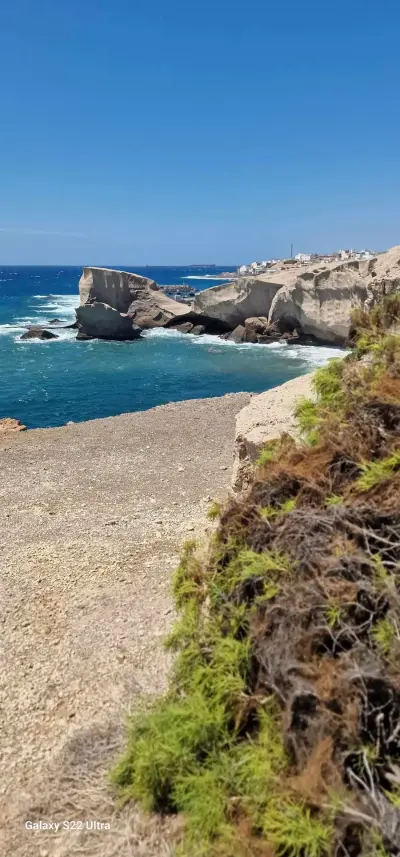 Petsitting Teneriffa
