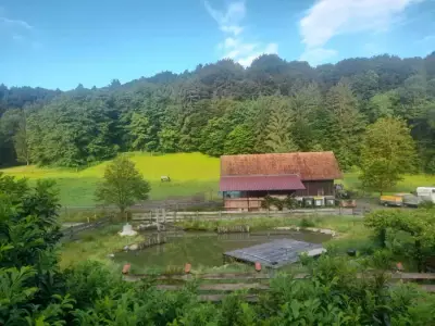 Pferdehof im Schützengraben