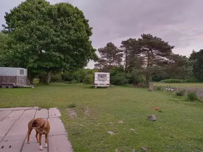 Stellplatz/Camping auf Rügen gegen Hand