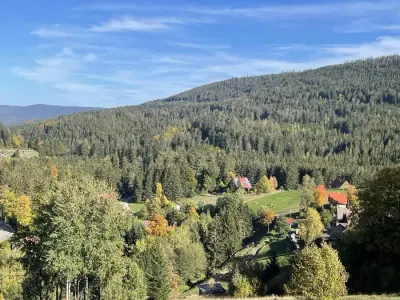 Schwarzwaldidylle, Holzhaus inmitten der Natur mit Tieren