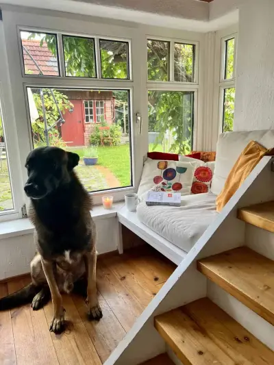 Hundesitting im Naturschutzgebiet