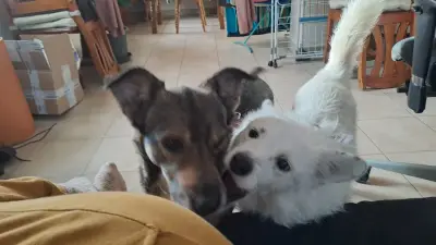 Isabell&Dennis