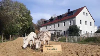 Auszeit Oberlausitz FelderWiesenWälderEntschleunigung