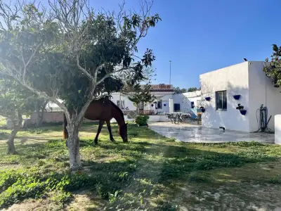Finca in Andalusien Costa de la Luz