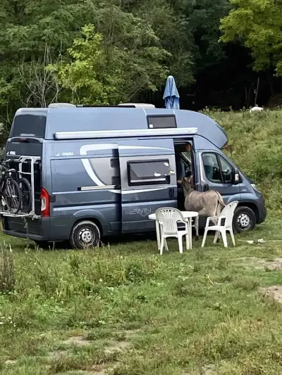 Suche Haushälter*in & Reisebegleitung für 3 Monate Vanlife i