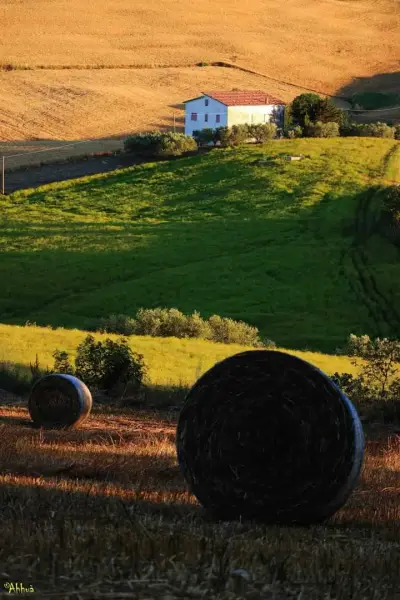 Fattoria in campagna