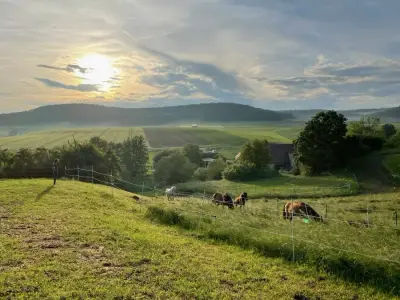 Natur, Ponys, flexible Aufgaben und herzliche Gastgeber
