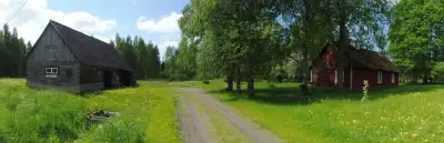 Natur, Wald, Meer an einem Ort