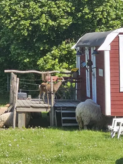 Vielseitiger Hof in 23845 Wakendorf I