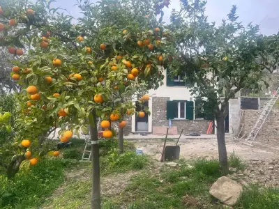 Helfer und Haussitter für Ferienhaus in Süditalien gesucht