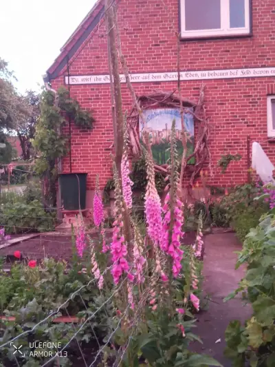 Kleines Haus mit Garten