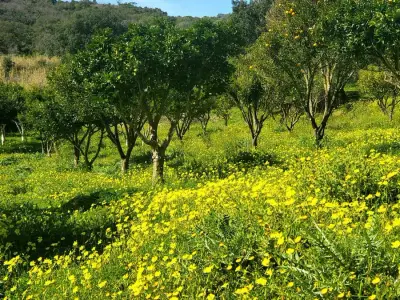 Sardinien, Stellplatz auf eco Farm mit gemeinnützigem Camp