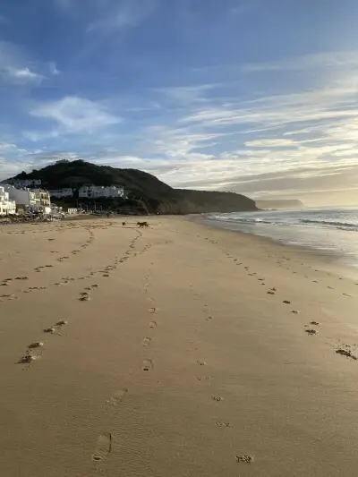 Garden help in exchange for Van Spot – Luz,Algarve Portugal