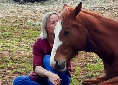 Kleine Ranch - mitten in der Natur mit Tieren