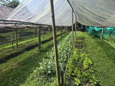Bio Farm nahe Chanthaburi / Thailand