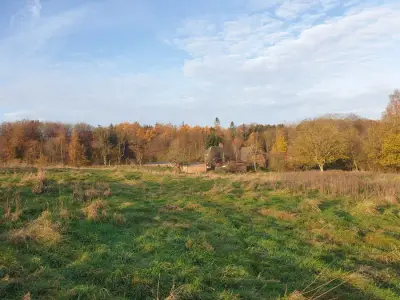 Resthof am Wald nahe Ostsee
