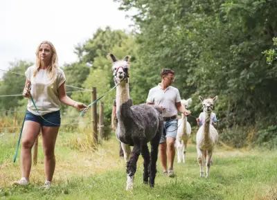 Orenda Ranch, ein Hof mit Alpakas, Lamas und Pferden – Bild 4