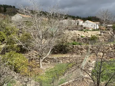 Selbstversorger Teneriffa – Bild 5