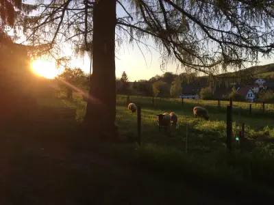 Sanierung einer denkmalgeschützten Fabrikantenvilla – Bild 3