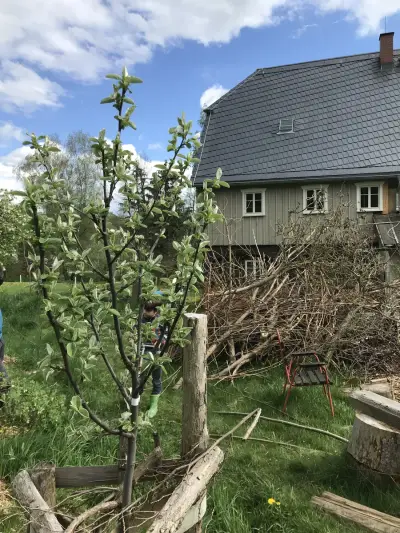 Landleben im Oberlausitzer Bergland – Bild 2