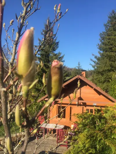 Kleines Ferienhaus in einem Dorf an der Schweizer Grenze – Bild 2