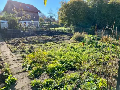 Hof im Westallgäu sucht helfende Hände – Bild 4