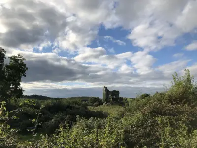 Hausrenovierung in Irland mitten in der Natur – Bild 6