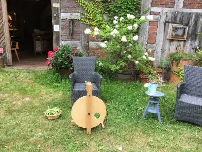 Alpakahof-Strange im DümmerWeserLand – Bild 4