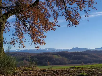 Ehemaliger Bauernhof in Südfrankreich mit 2 ha Land – Bild 3