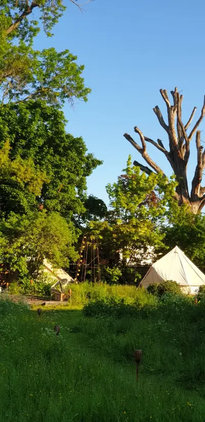 Glamping und FeWos im "Into the Green" – Bild 2