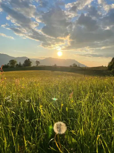 Tauglerei – Bild 2