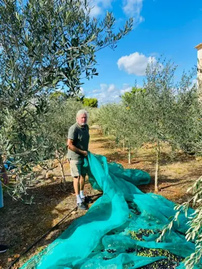 finca auf mallorca – Bild 5