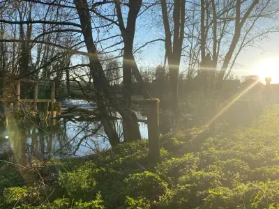 Alte Mühle in Champagne-Ardenne – Bild 2