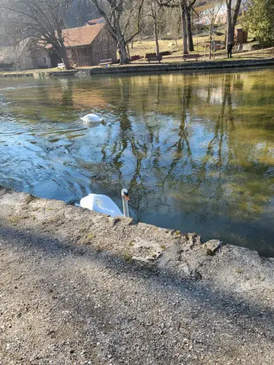 Petsitting – Bild 5