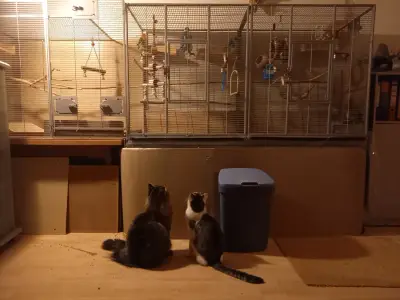 Petsitting am schönen Tegernsee – Bild 5