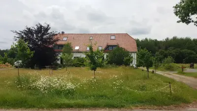 Umgebauter Bauernhof mit 1 Hündin, 1 Katzen und 2 Pferden – Bild 4