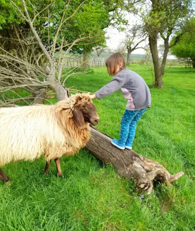Hofreite im Ort – Bild 4