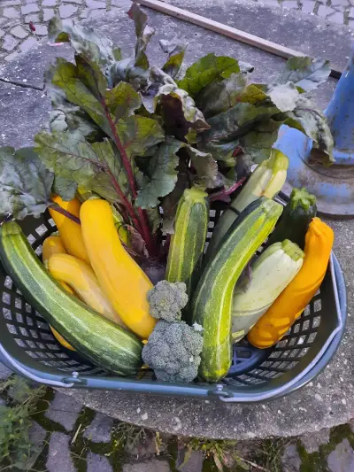 Fachwerkhaus mit vielen Tieren und großem Garten – Bild 5