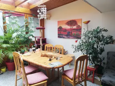 Schöne Wohnung auf dem Land für Katzenfreunde – Bild 2