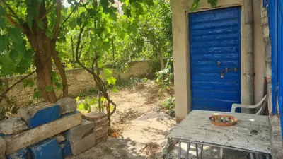 Haus in Kroatien direkt am Meer mit Garten und Terrasse – Bild 2