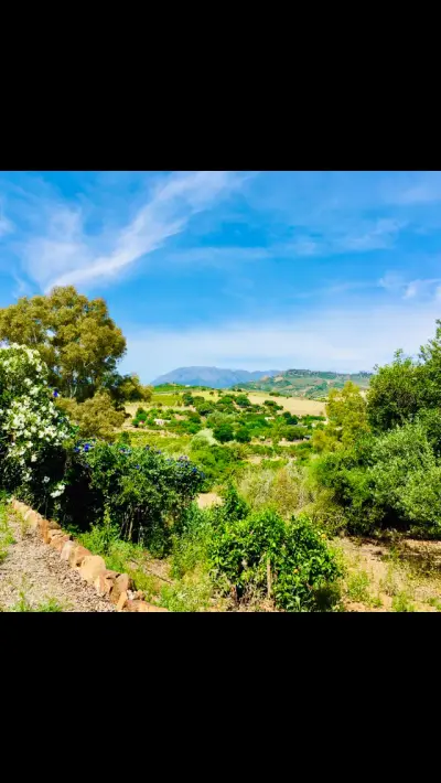 überdachter Stellplatz auf einer NaturFinca in Andalusien – Bild 3