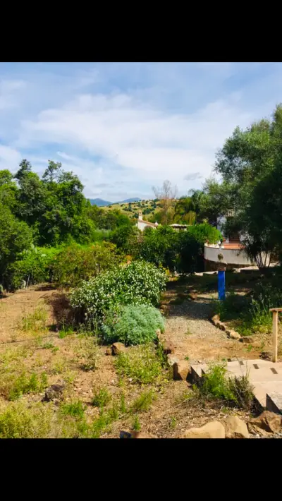 überdachter Stellplatz auf einer NaturFinca in Andalusien – Bild 4